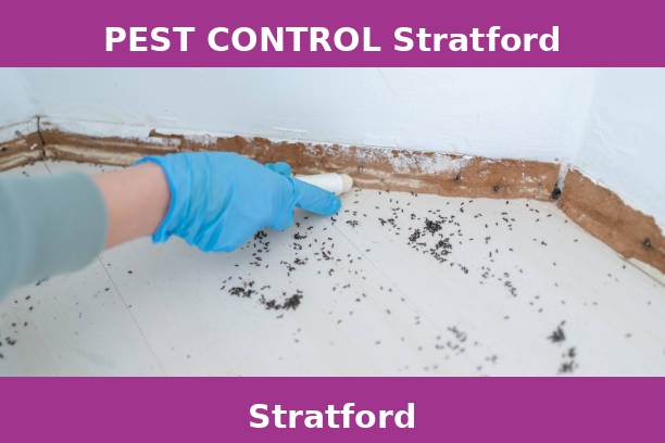 PEST CONTROL Stratford